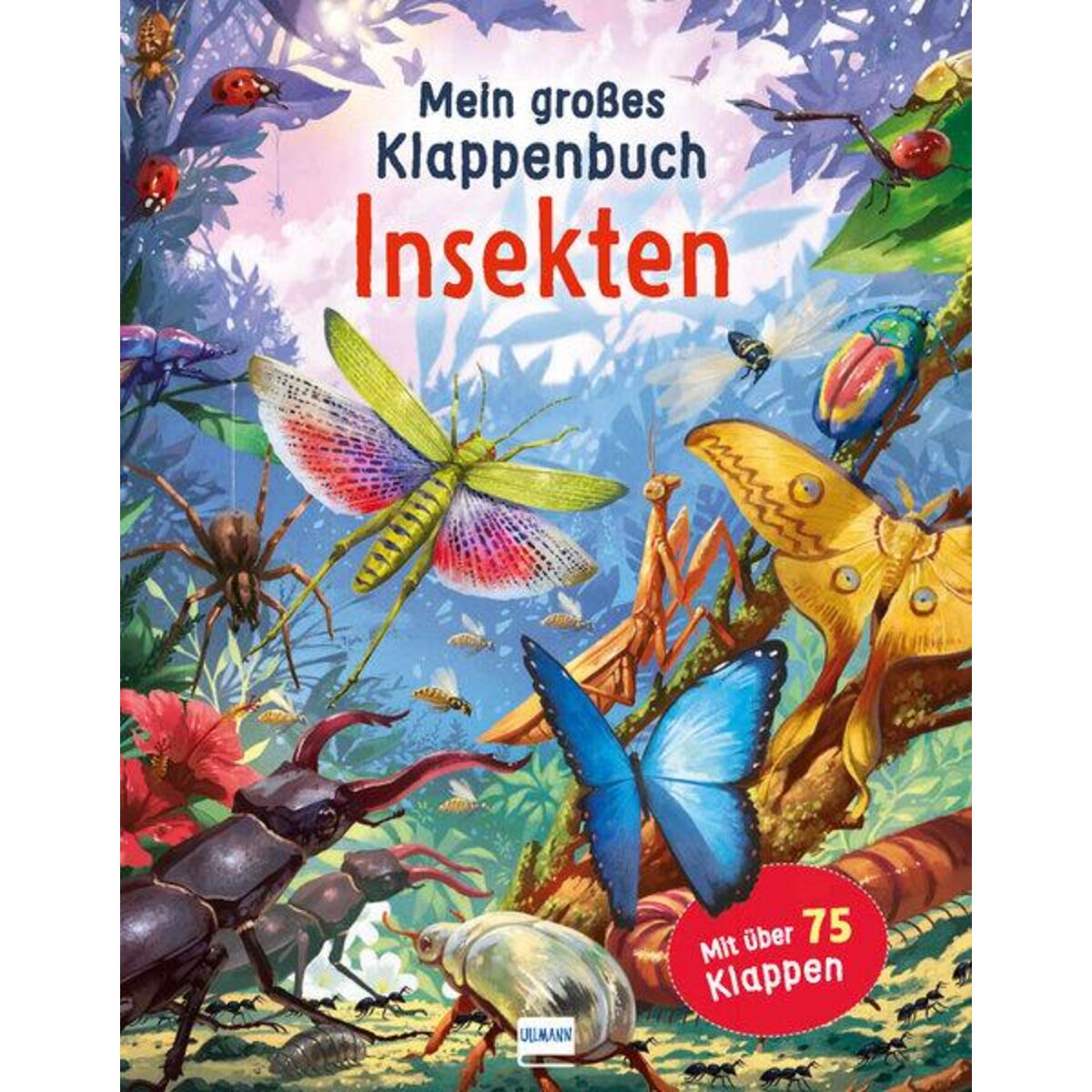Mein großes Klappenbuch - Insekten von Ullmann Medien GmbH