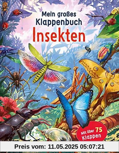 Mein großes Klappenbuch - Insekten: mit über 75 Klappen und spannenden Sachinformationen Mein großes Klappenbuch - Insekten: mit über 75 Klappen und spannenden Sachinformationen