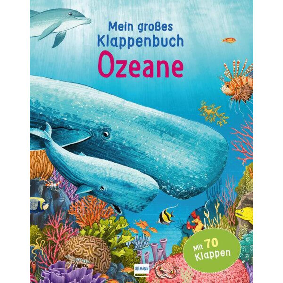 Mein großes Klappenbuch - Ozeane von Ullmann Medien GmbH