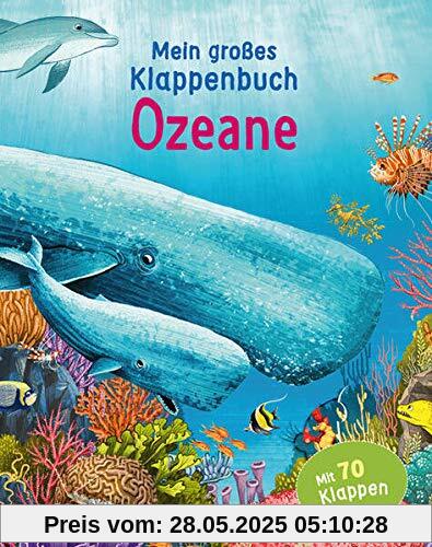 Mein großes Klappenbuch - Ozeane: mit 70 Klappen und spannenden Sachinformationen