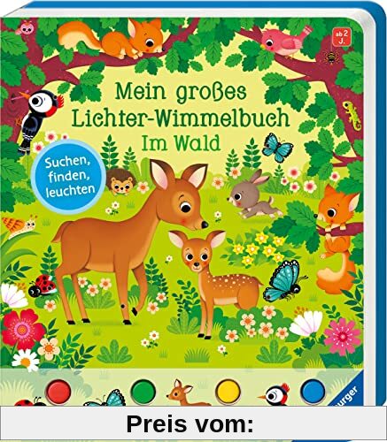 Mein großes Lichter-Wimmelbuch: Im Wald