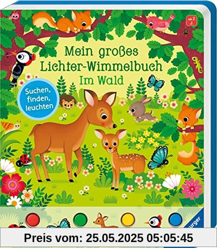 Mein großes Lichter-Wimmelbuch: Im Wald