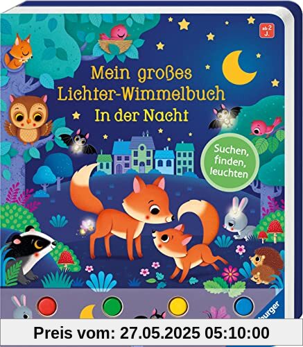 Mein großes Lichter-Wimmelbuch: In der Nacht: Suchen, finden, leuchten
