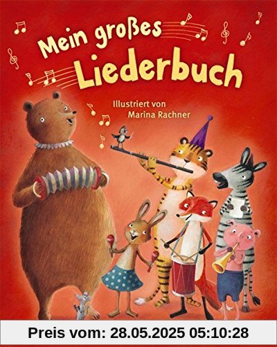 Mein großes Liederbuch: mit Gitarrengriffen und Grifftabelle Mein großes Liederbuch: mit Gitarrengriffen und Grifftabelle