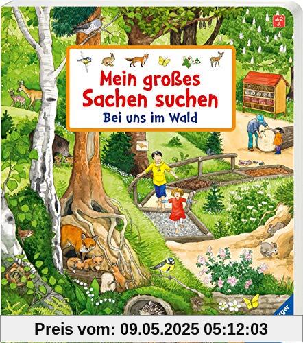 Mein großes Sachen suchen: Bei uns im Wald