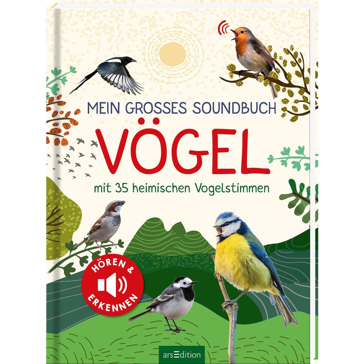 Mein großes Soundbuch: Vögel Mein großes Soundbuch: Vögel von Ars Edition GmbH