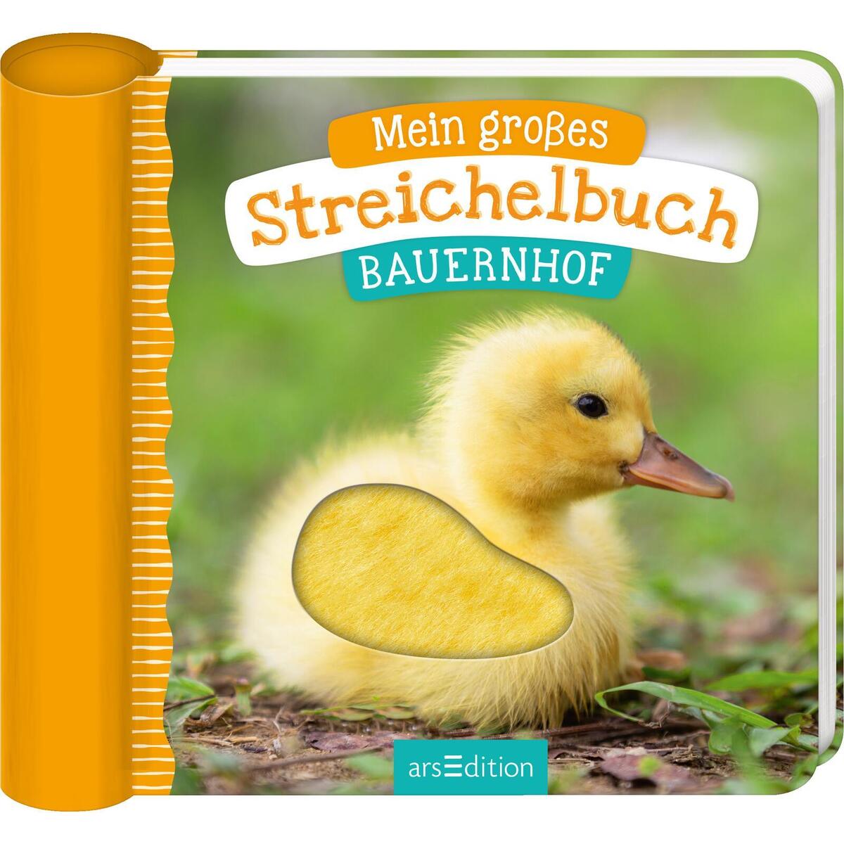 Mein großes Streichelbuch - Bauernhof Mein großes Streichelbuch - Bauernhof von Ars Edition GmbH