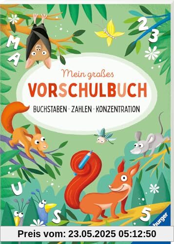 Mein großes Vorschulbuch: Buchstaben Zahlen Konzentration