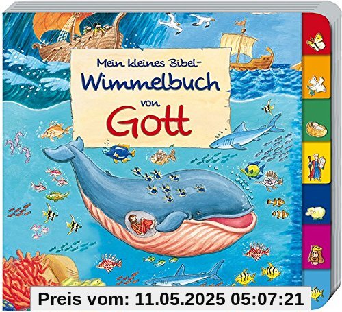 Mein kleines Bibel-Wimmelbuch von Gott
