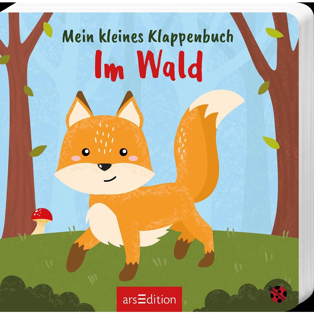 Mein kleines Klappenbuch - Im Wald von Ars Edition GmbH