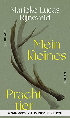 Mein kleines Prachttier: Roman Mein kleines Prachttier: Roman