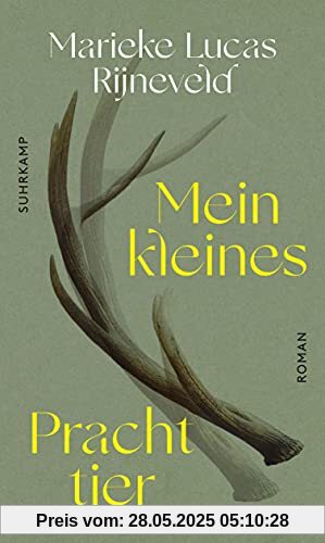 Mein kleines Prachttier: Roman