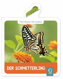 Mein kleines Tier-Lexikon - Der Schmetterling von klein & groß Verlag