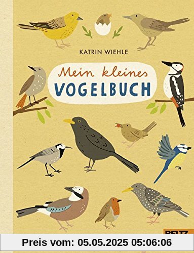 Mein kleines Vogelbuch: 100 % Naturbuch - Vierfarbiges Papp-Bilderbuch