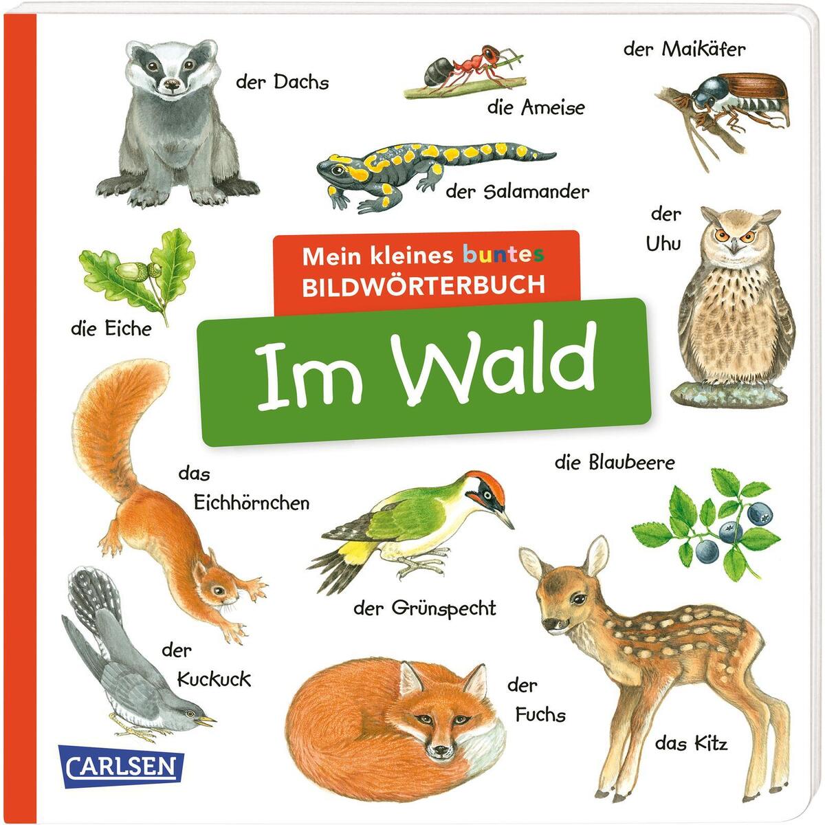 Mein kleines buntes Bildwörterbuch: Im Wald Mein kleines buntes Bildwörterbuch: Im Wald von Carlsen Verlag GmbH