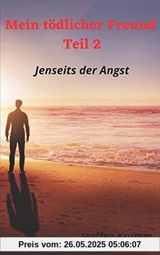 Mein tödlicher Freund Teil 2: Jenseits der Angst