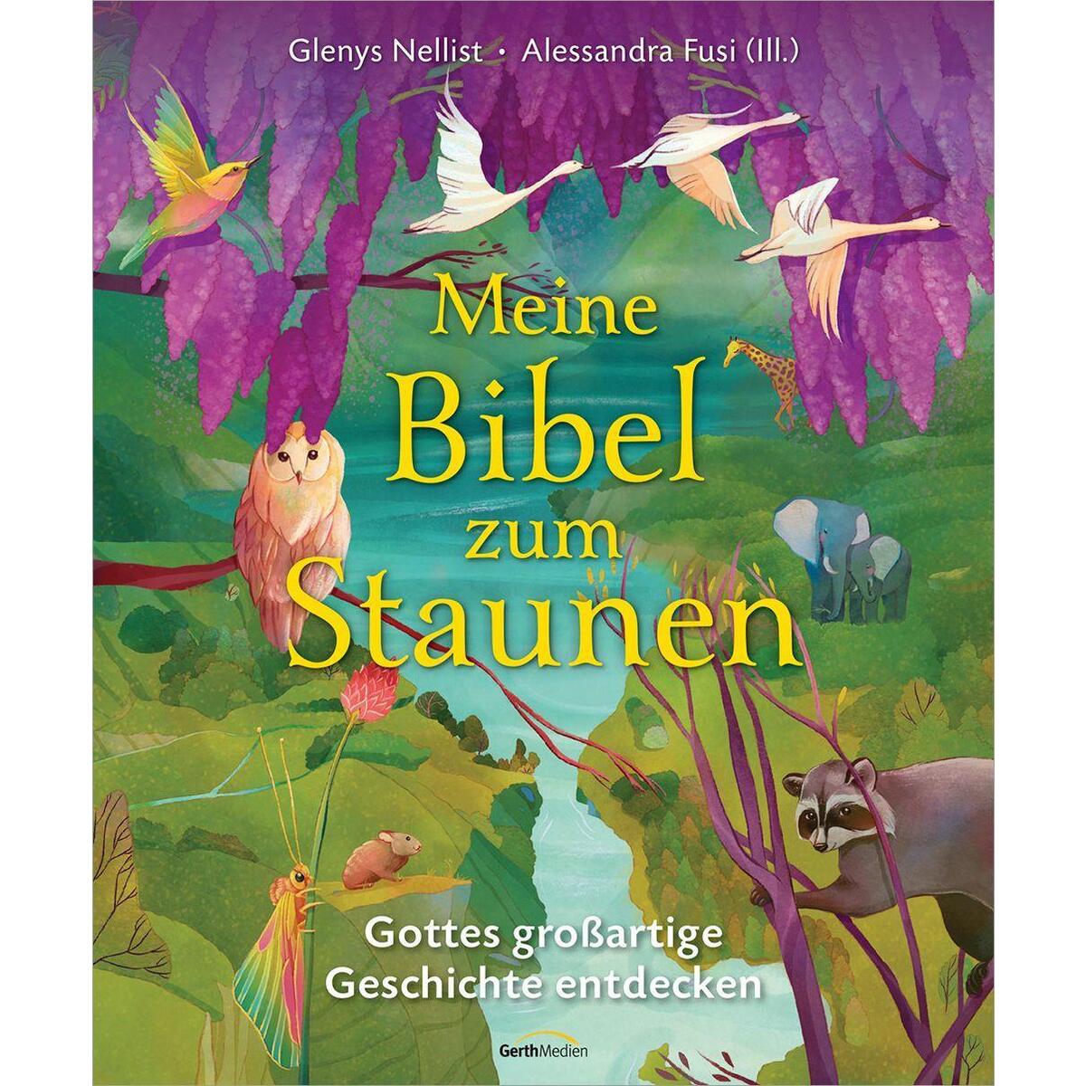 Meine Bibel zum Staunen von Gerth Medien