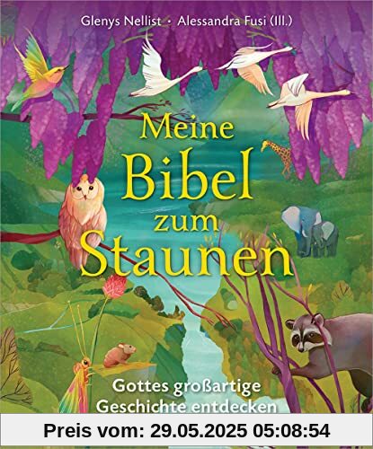 Meine Bibel zum Staunen: Gottes großartige Geschichte entdecken Meine Bibel zum Staunen: Gottes großartige Geschichte entdecken
