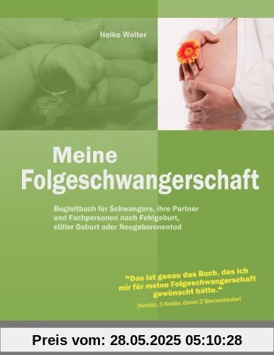 Meine Folgeschwangerschaft - Begleitbuch für Schwangere, ihre Partner und Fachpersonen nach Fehlgeburt, stiller Geburt oder Neugeborenentod