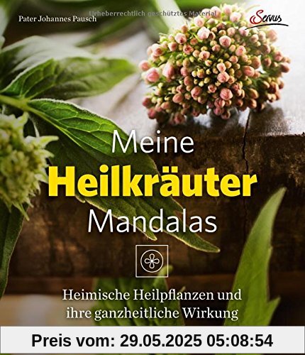 Meine Heilkräutermandalas: Heimische Pflanzen und ihre ganzheitliche Wirkung