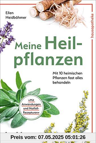 Meine Heilpflanzen: Mit 10 heimischen Pflanzen fast alles behandeln