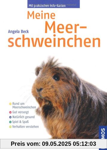 Meine Meerschweinchen: Rund um das Tier. Gut versorgt. Natürlich gesund. Spiel und Spass. Verhalten verstehen