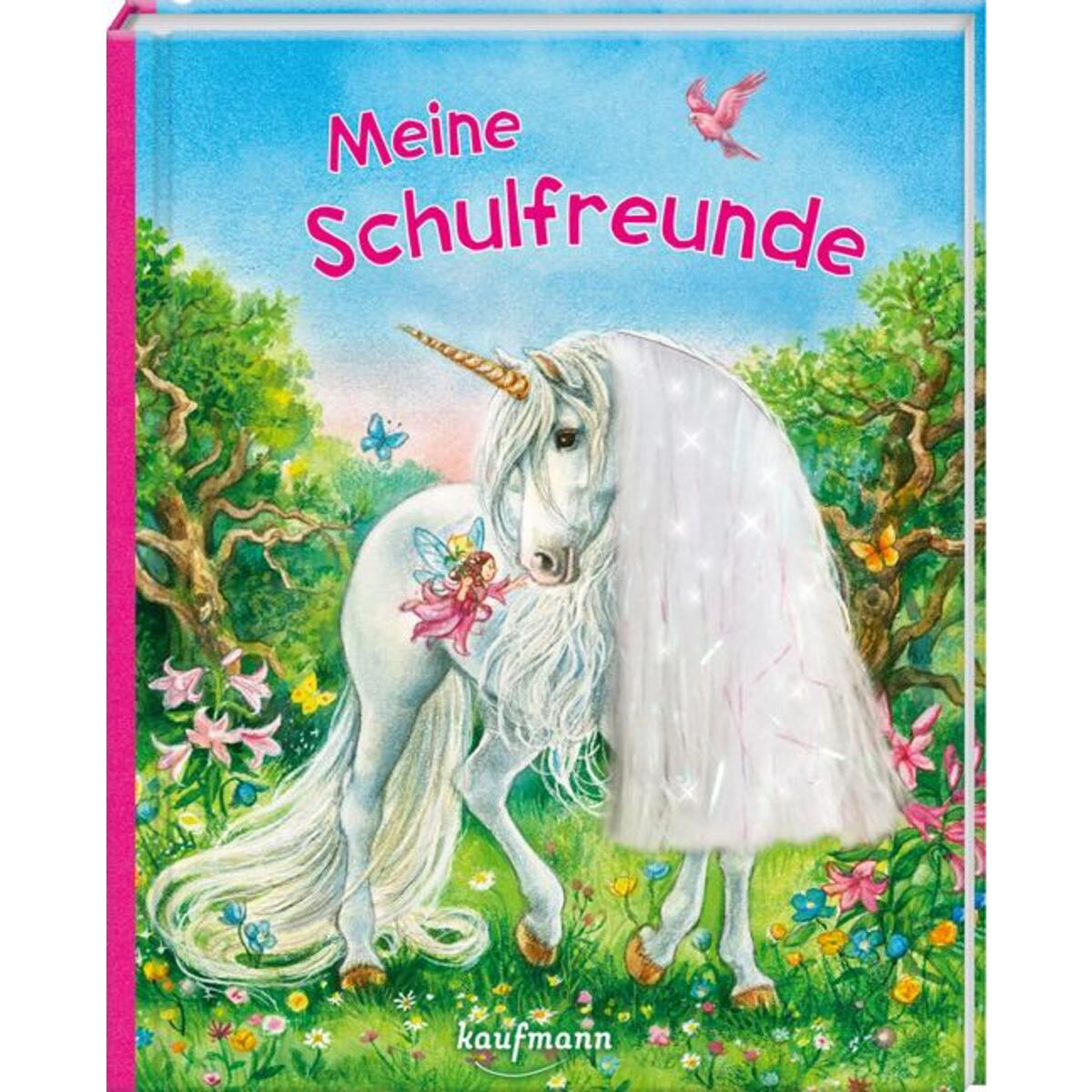 Meine Schulfreunde Meine Schulfreunde von Kaufmann Ernst Vlg GmbH