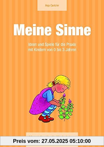 Meine Sinne: Ideen und Spiele für die Praxis mit Kindern von 0 bis 3 Jahren