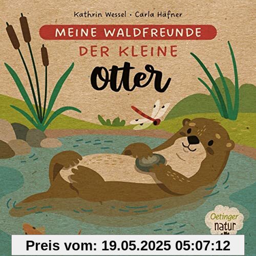 Meine Waldfreunde. Der kleine Otter: Nachhaltig hergestelltes Öko-Pappbilderbuch für die Kleinsten (Oetinger natur)