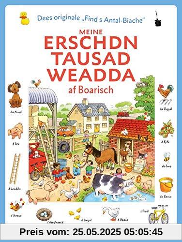 Meine erschdn tausad Weadda af Boarisch