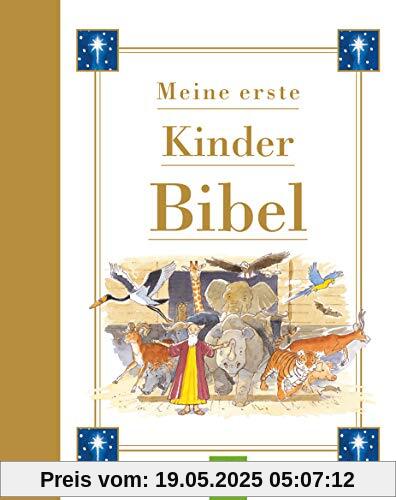 Meine erste Kinderbibel