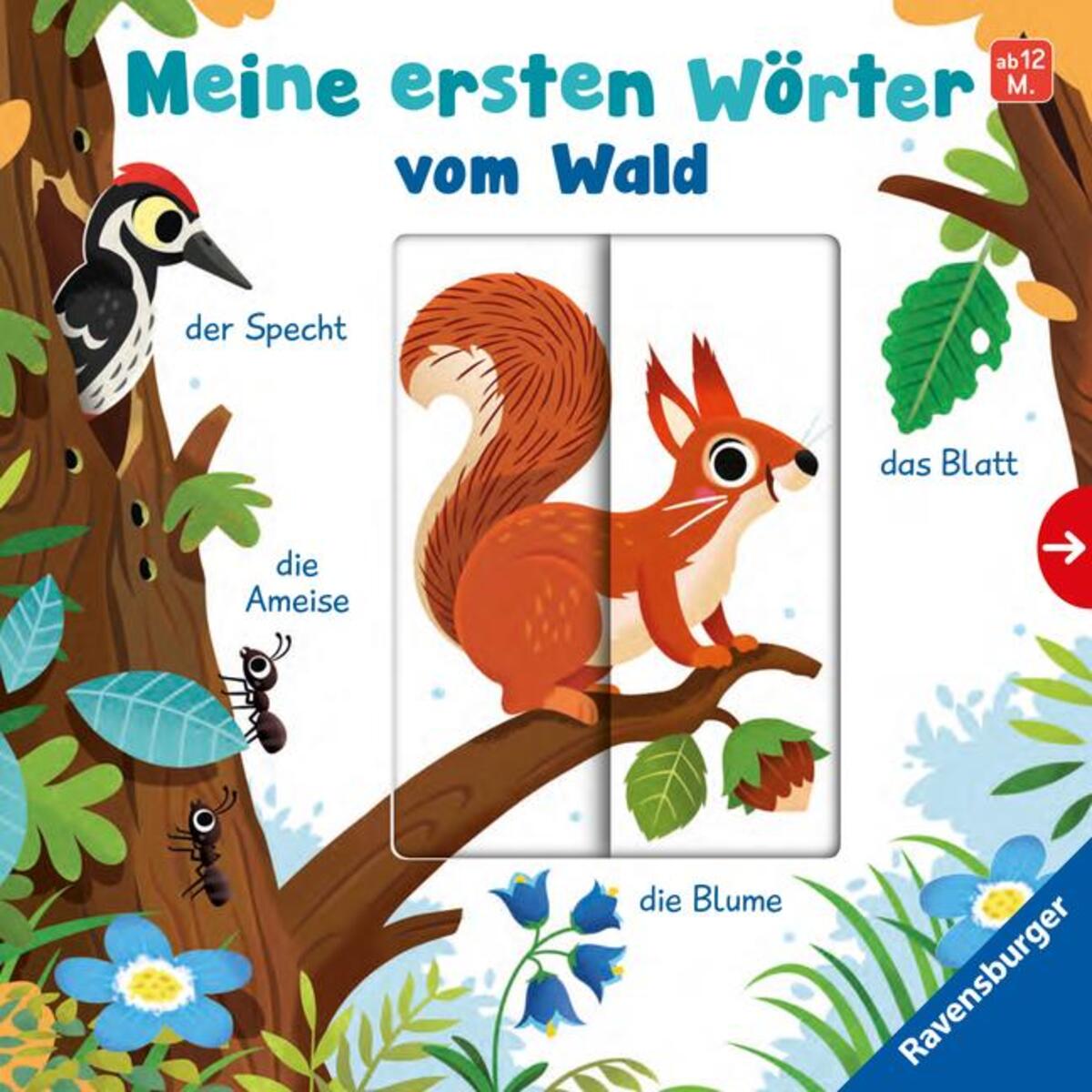 Meine ersten Wörter vom Wald - Sprechen lernen mit großen Schiebern und Sachwiss... Meine ersten Wörter vom Wald - Sprechen lernen mit großen Schiebern und Sachwiss... von Ravensburger Verlag