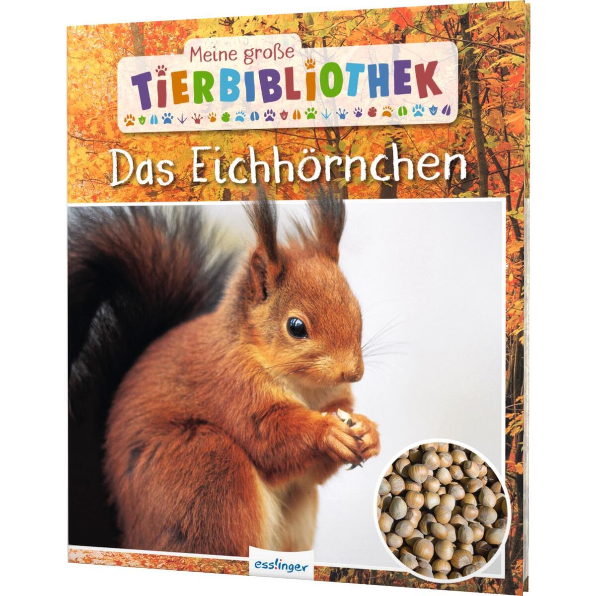 Meine große Tierbibliothek: Das Eichhörnchen Meine große Tierbibliothek: Das Eichhörnchen von Esslinger Verlag