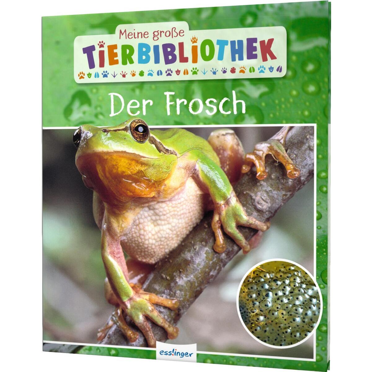 Meine große Tierbibliothek: Der Frosch von Esslinger Verlag