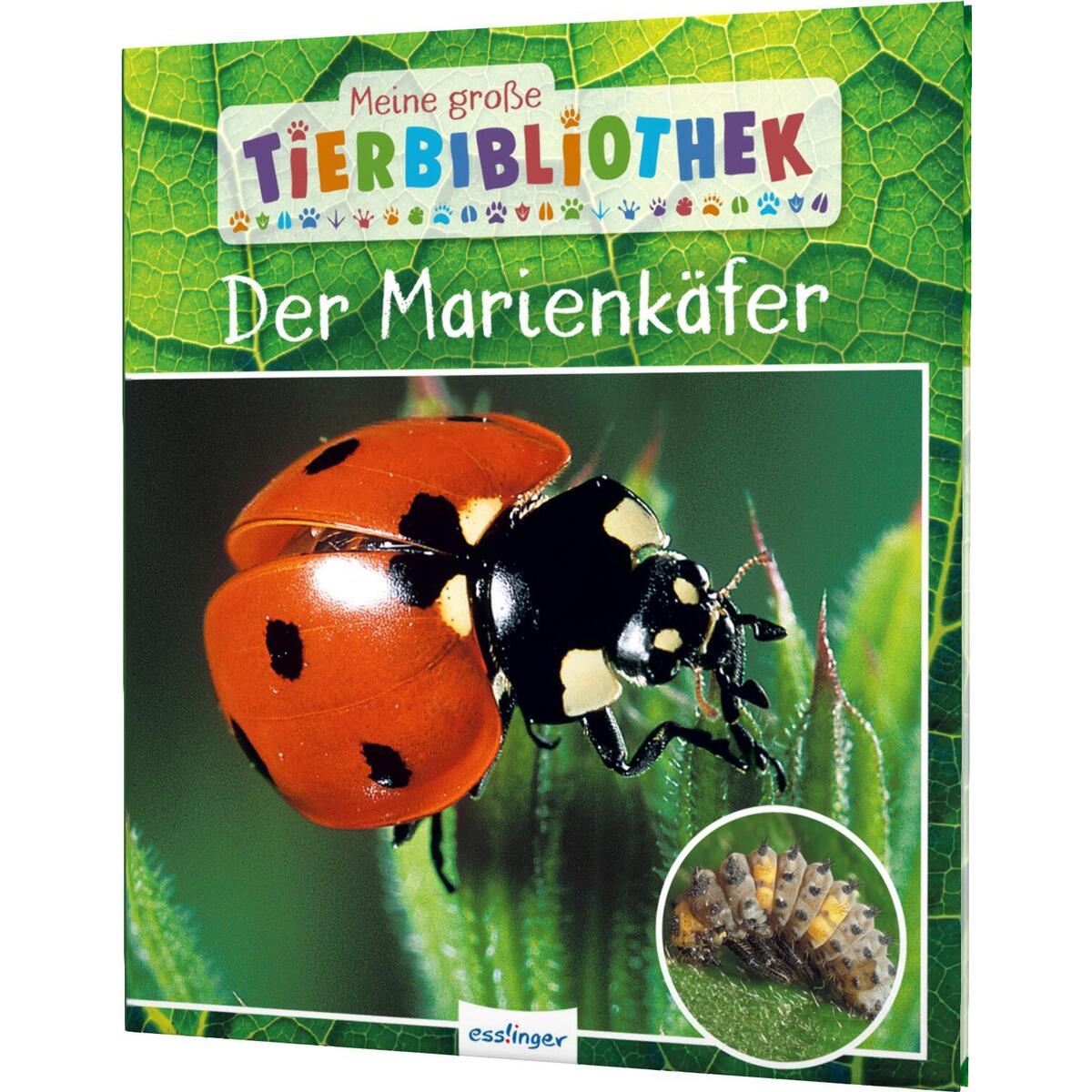 Meine große Tierbibliothek: Der Marienkäfer von Esslinger Verlag