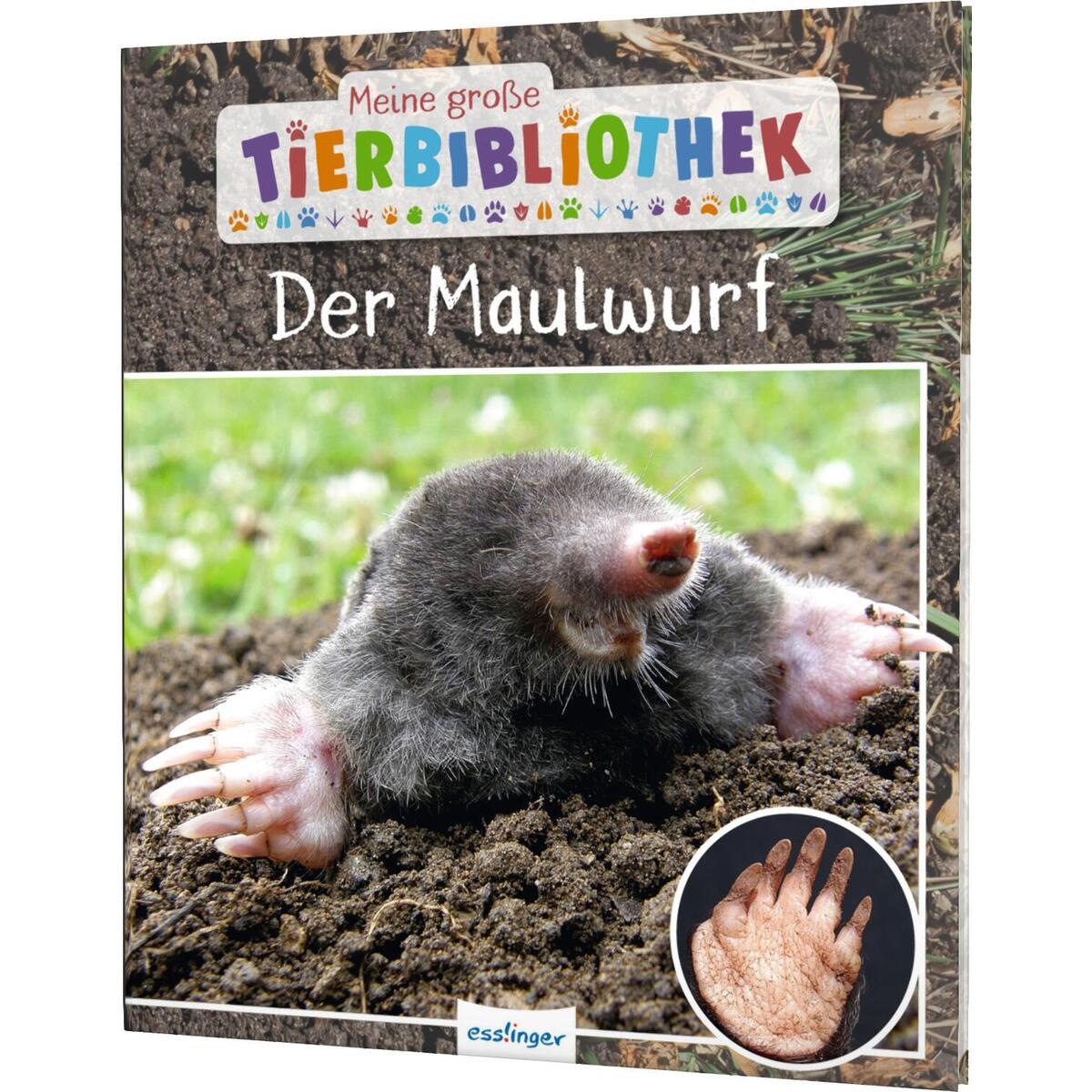 Meine große Tierbibliothek: Der Maulwurf von Esslinger Verlag