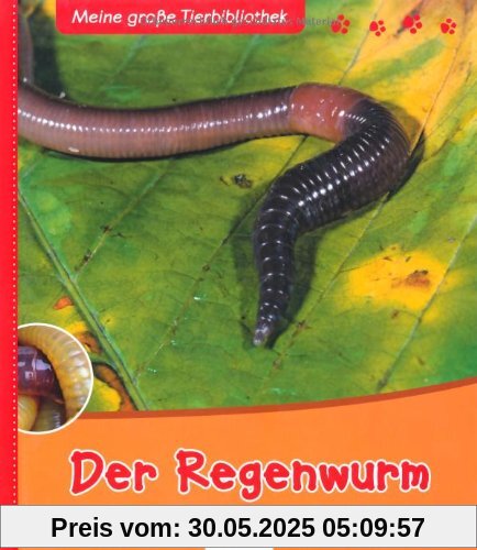 Meine große Tierbibliothek: Der Regenwurm