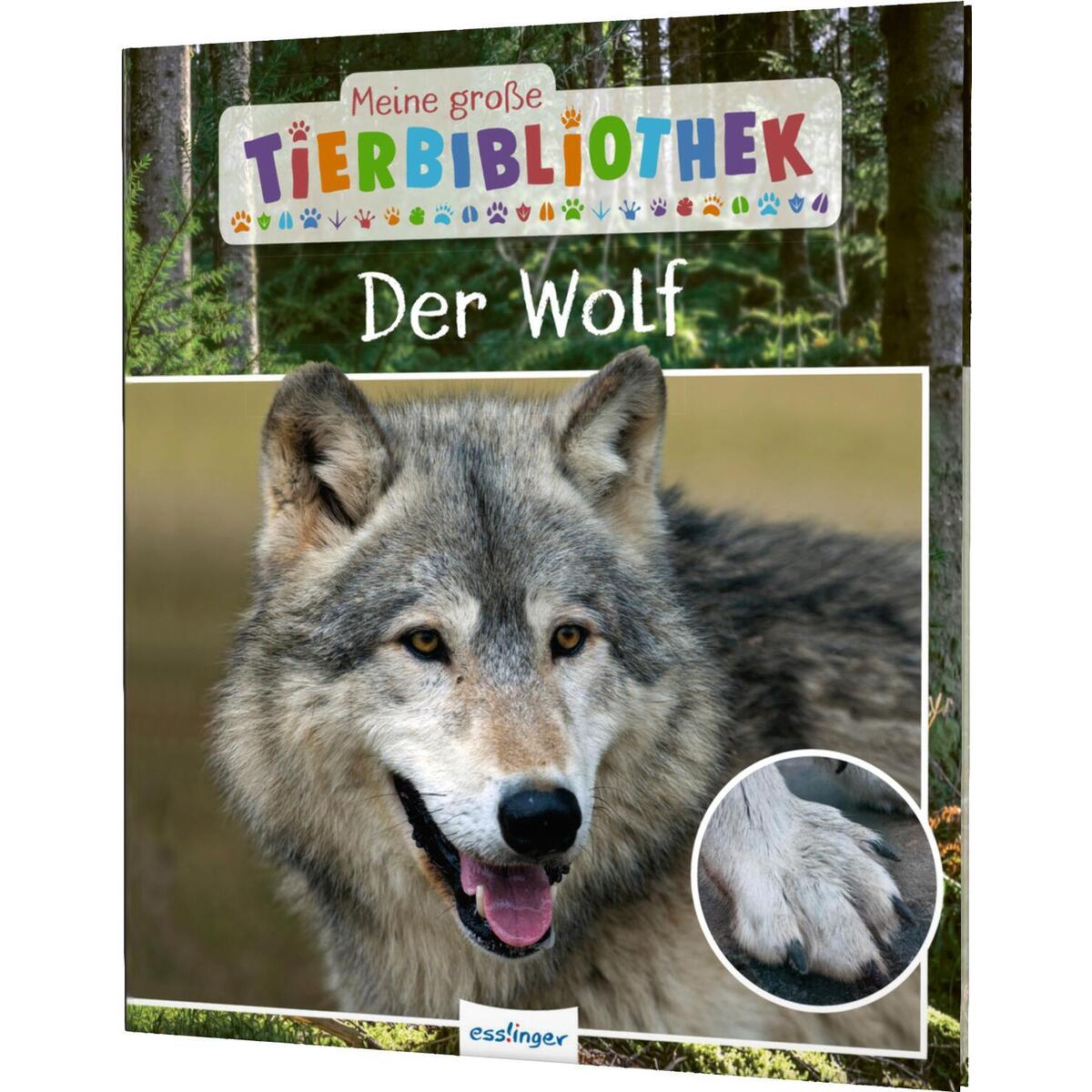 Meine große Tierbibliothek: Der Wolf von Esslinger Verlag