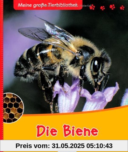 Meine große Tierbibliothek: Die Biene