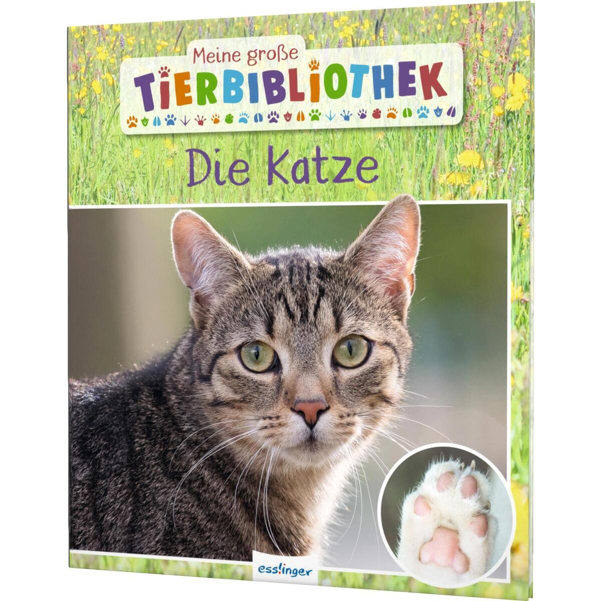 Meine große Tierbibliothek: Die Katze von Esslinger Verlag