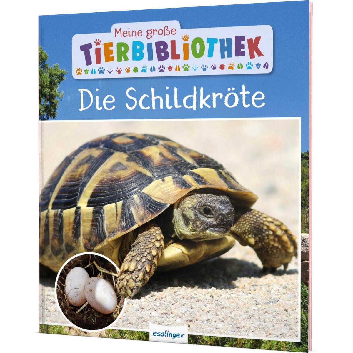 Meine große Tierbibliothek: Die Schildkröte von Esslinger Verlag