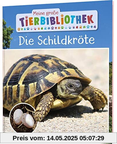 Meine große Tierbibliothek: Die Schildkröte: Sachbuch für Vorschule & Grundschule Meine große Tierbibliothek: Die Schildkröte: Sachbuch für Vorschule & Grundschule