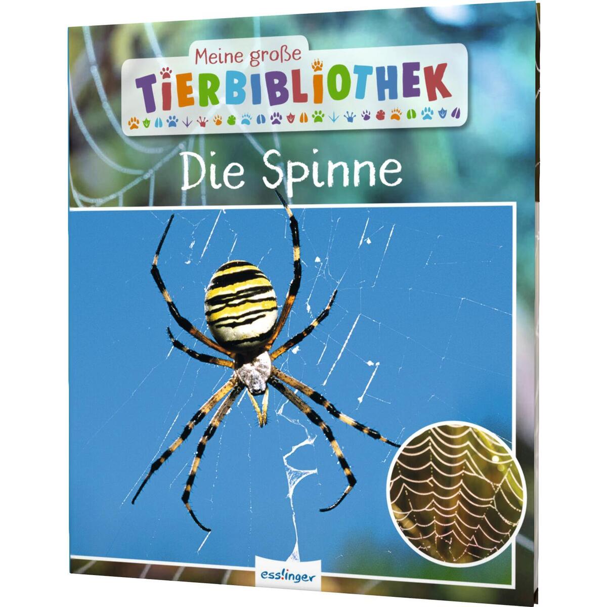 Meine große Tierbibliothek: Die Spinne von Esslinger Verlag
