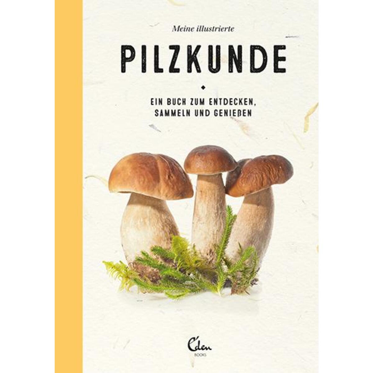 Meine illustrierte Pilzkunde Meine illustrierte Pilzkunde von Eden Books