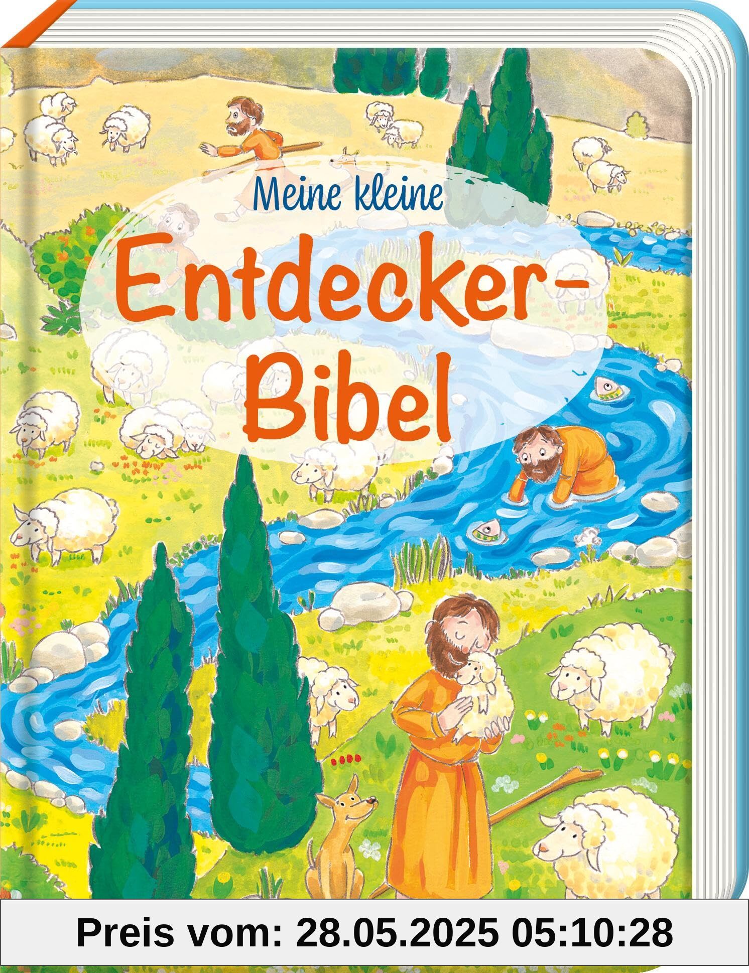 Meine kleine Entdecker-Bibel