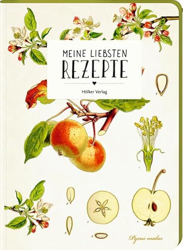 Meine liebsten Rezepte - Einschreibbuch (Äpfel) (Rezeptbücher) von Hölker Verlag