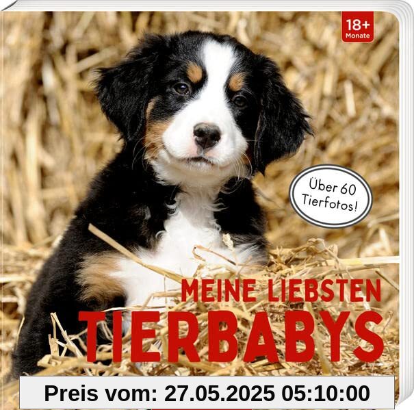 Meine liebsten Tierbabys
