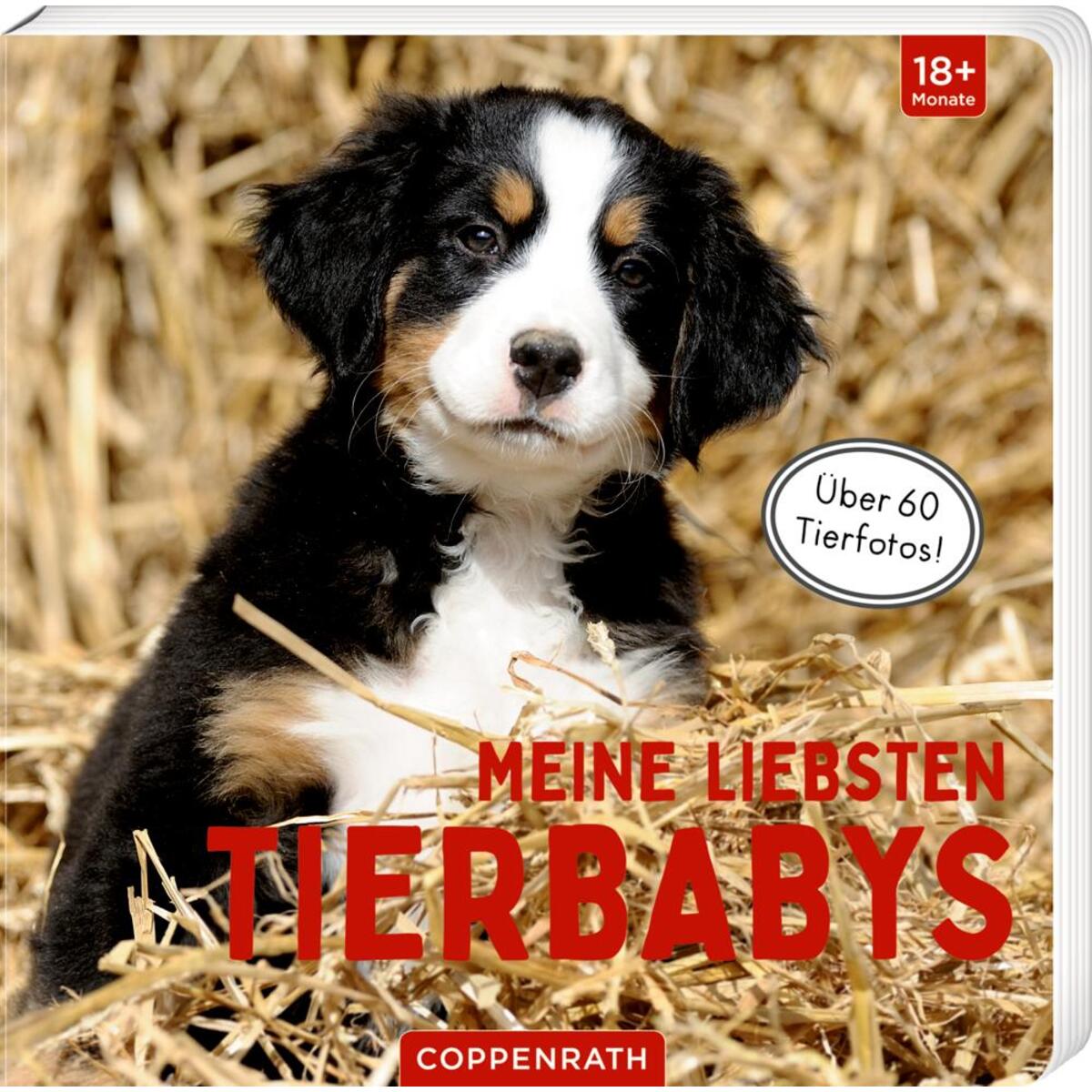 Meine liebsten Tierbabys von Coppenrath