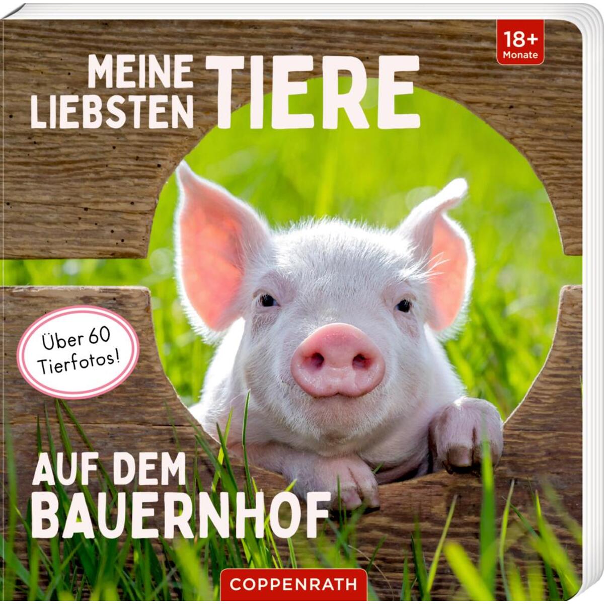 Meine liebsten Tiere auf dem Bauernhof von Coppenrath F
