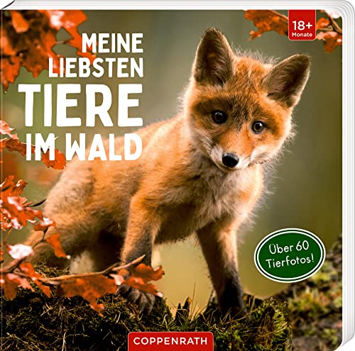 Meine liebsten Tiere im Wald von Coppenrath Verlag GmbH & Co. KG